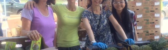 VOLUNTEER OPPORTUNITIES AVAILABLE THIS SUMMER