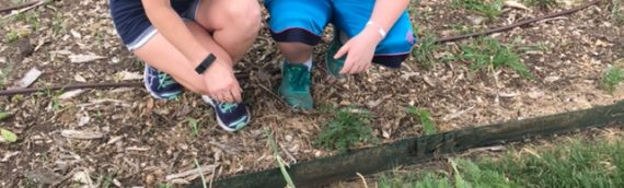 SEPTEMBER 9 GARDEN WORK DAY CANCELLED
