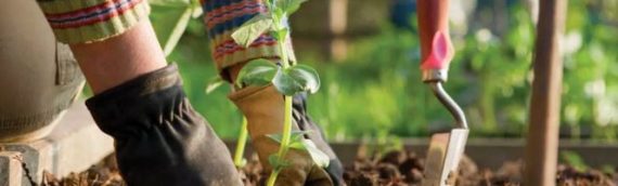 SEED MONEY NEEDED