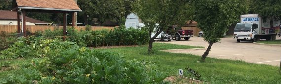 Community Garden Day September 12th