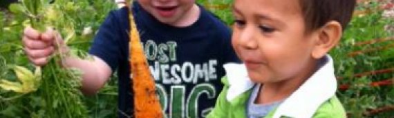 JOIN US FOR FAMILY GARDENING DAY