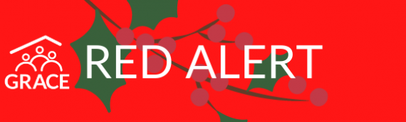 Urgent Help Needed