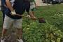 TECHNOLOGY GROUP TENDS TO THE PLOW