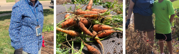 The Community Garden Needs Your Help!